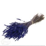 Lavanda preservada
