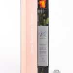 Rosa preservada naranja