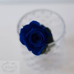 Rosa preservada azul acetato