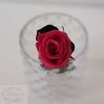 Rosa preservada fucsia acetato