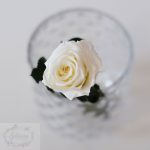Rosa preservada crema acetato