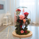 Cúpula rosa y roja