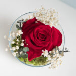 Pecera corazón roja