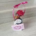Rosa preservada fucsia regalo